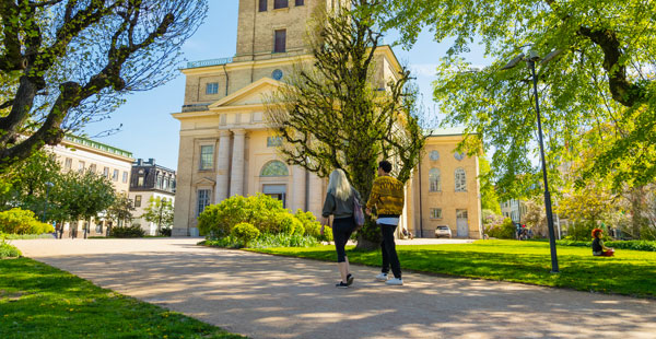 människor som går under träd i solen