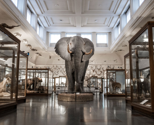 Naturhistoriska-Museet Göteborg