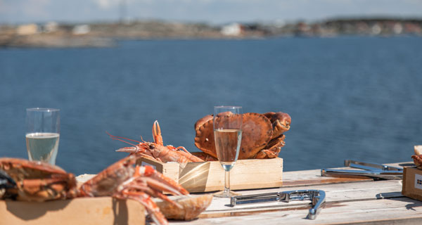 äta Skaldjur-i-skärgård
